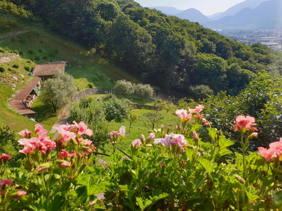 Villa D'Epoca Le Capele Gratacasolo Luaran gambar