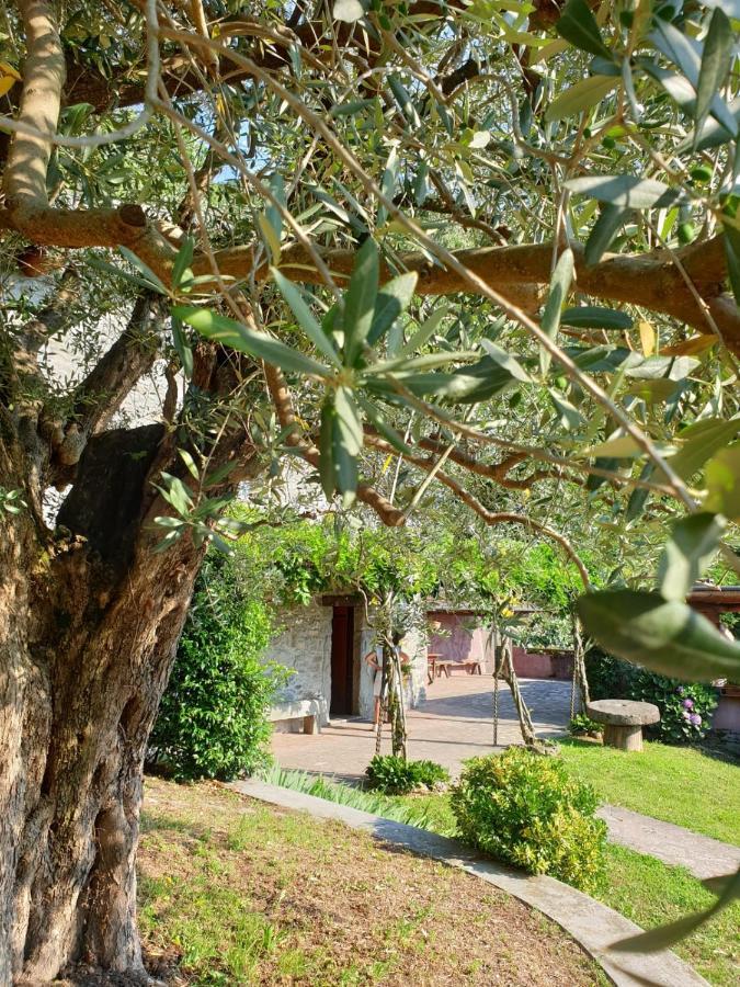 Villa D'Epoca Le Capele Gratacasolo Luaran gambar