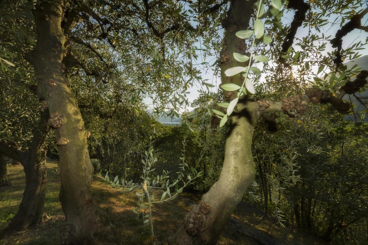 Villa D'Epoca Le Capele Gratacasolo Luaran gambar