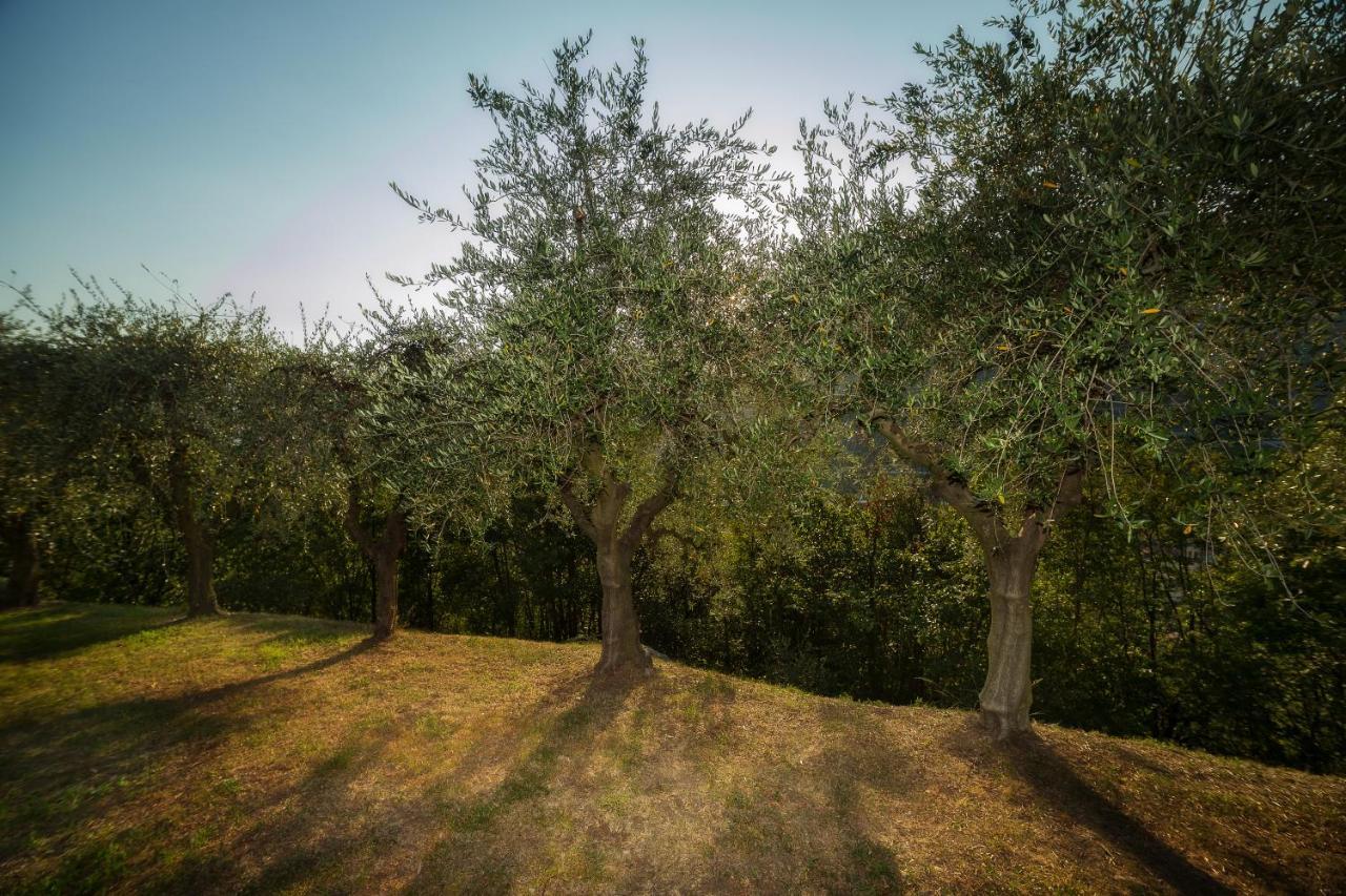 Villa D'Epoca Le Capele Gratacasolo Luaran gambar